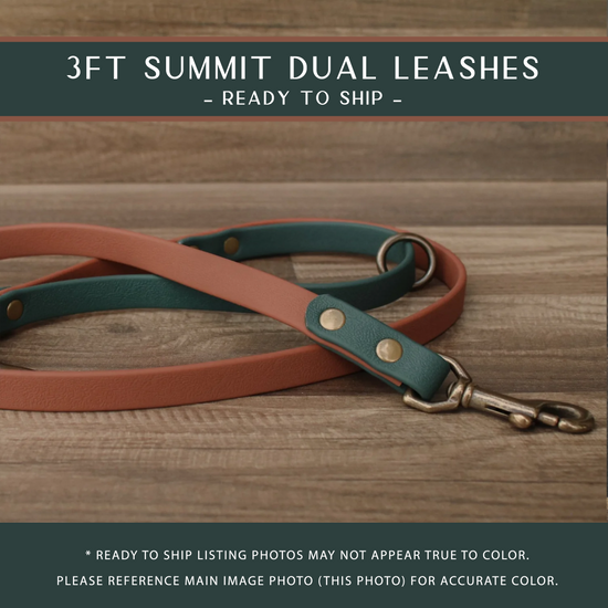 Summit Dual + Denali Leash Add On