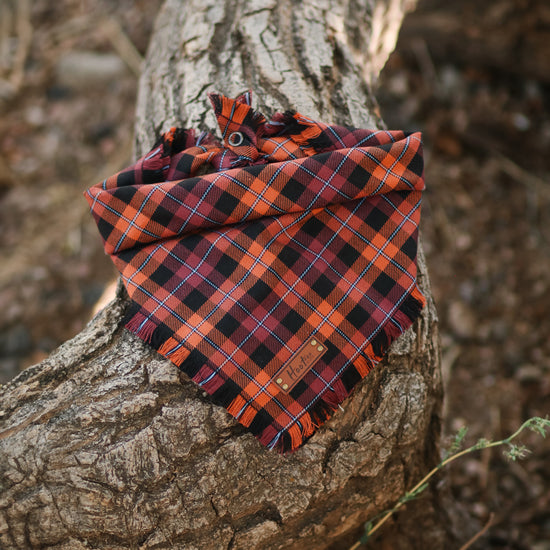 Hoot & Co Arya Bandana featuring a vibrant, patterned design, displayed on a mannequin head.