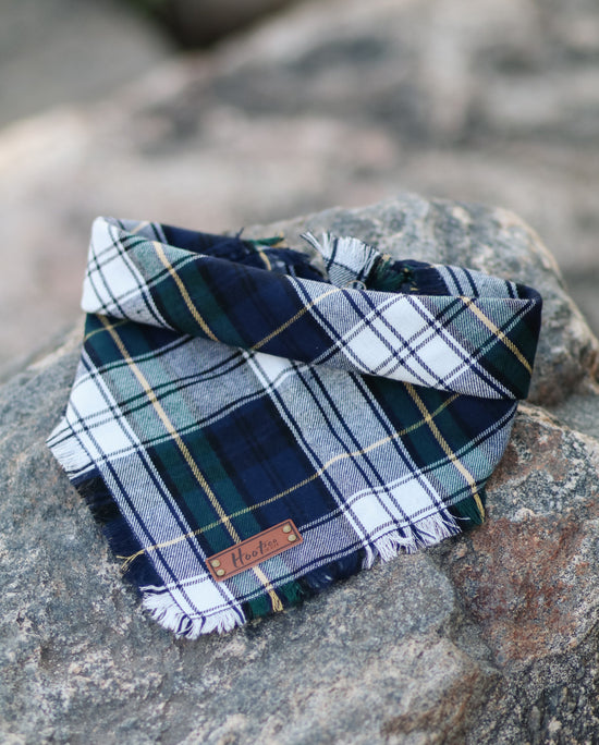 Hoot & Co Blake bandana featuring a stylish, colorful paisley pattern on soft fabric for versatile wear.