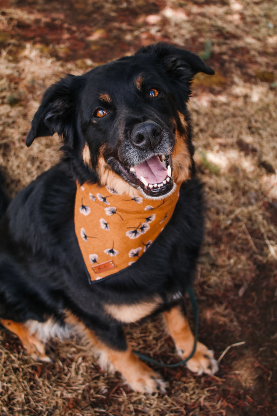 Dandelion Aspen Bandana