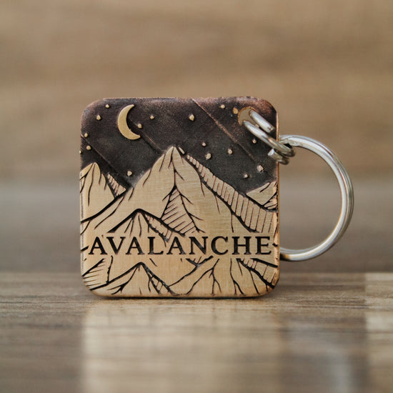 The Avalanche Pet Tag