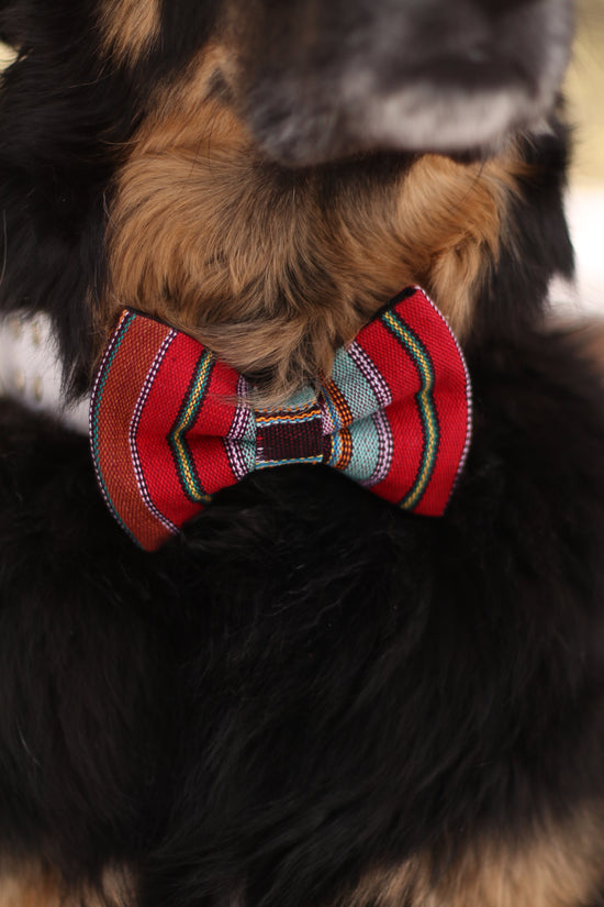 Baja Bow Tie