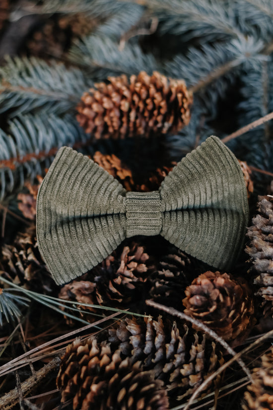 Corduroy Bow Tie - Olive
