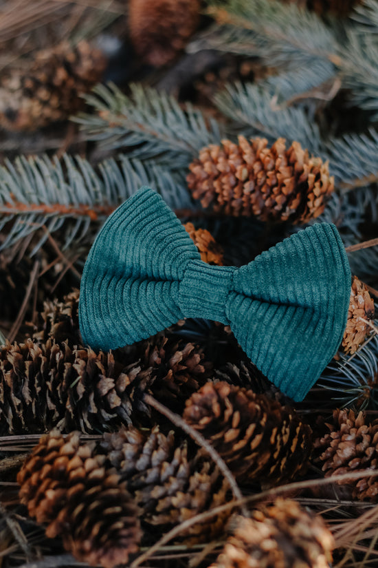 Corduroy Bow Tie - Teal