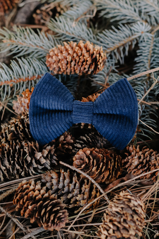 Corduroy Bow Tie - Navy