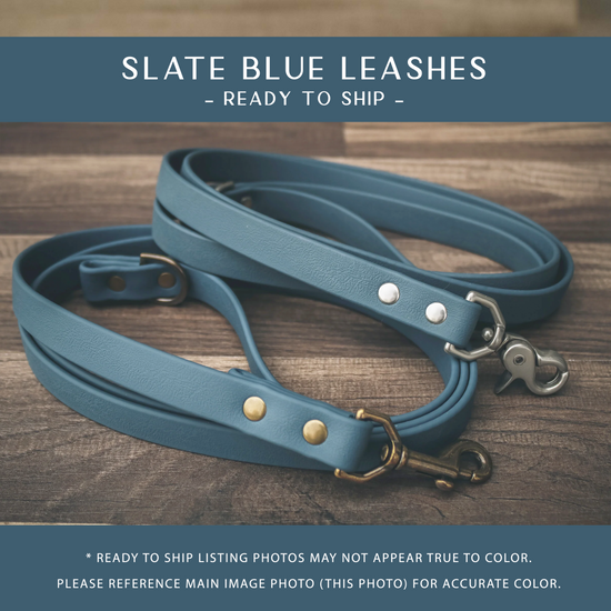 Slate Blue Leashes
