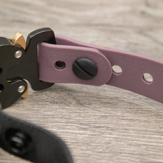 Chicago Screw 3 pack