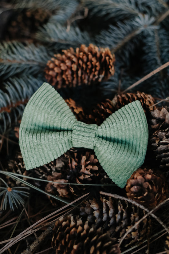 Corduroy Bow Tie - Sage