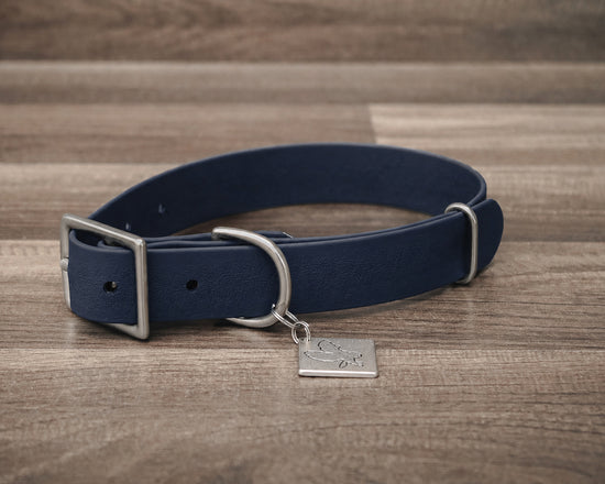 Navy Buckle Collar