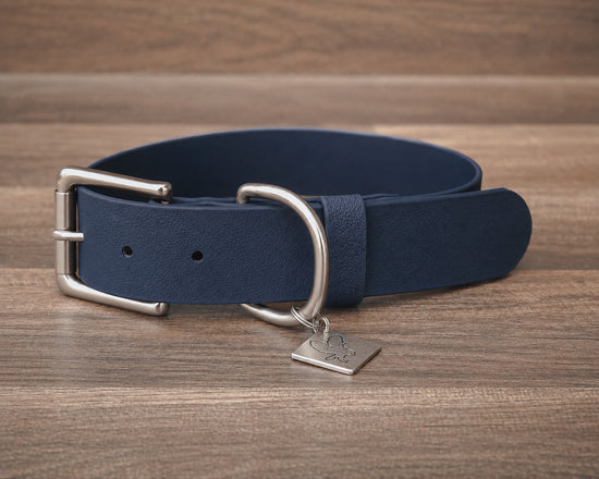 Navy Buckle Collar 1.5"