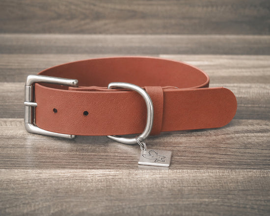 Rust Buckle Collar 1.5"