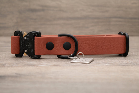 Rust Quick Release Collar