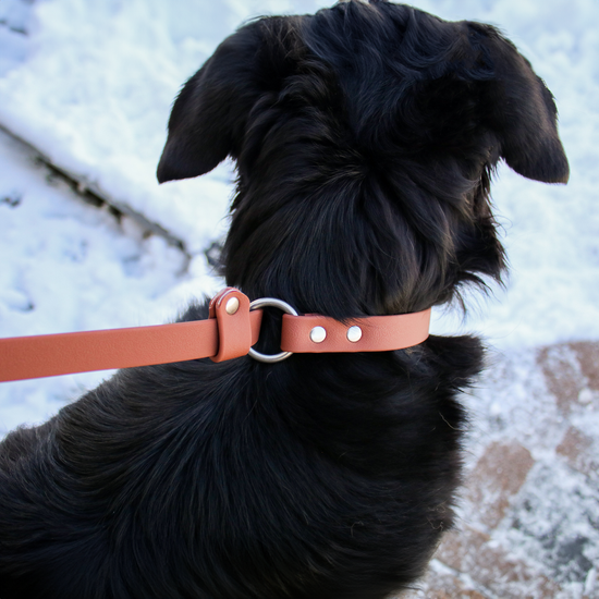 Slip Leash - All Colors
