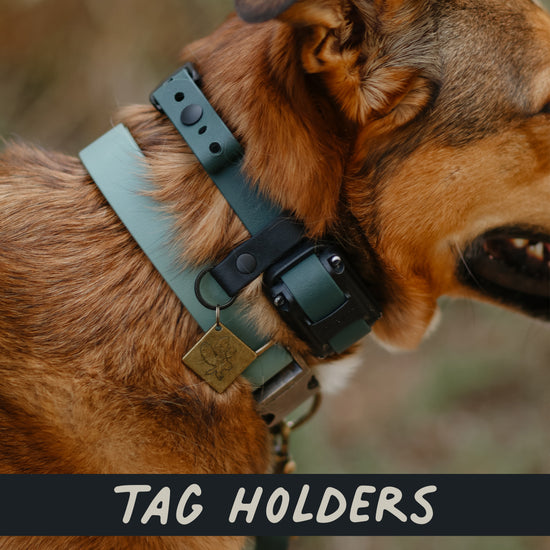 Tag Holder 3 Pack