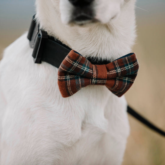 Hunter Flannel Bow Tie