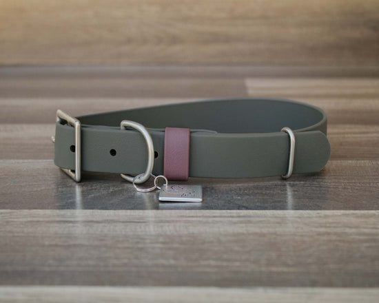 Granite Buckle Collar