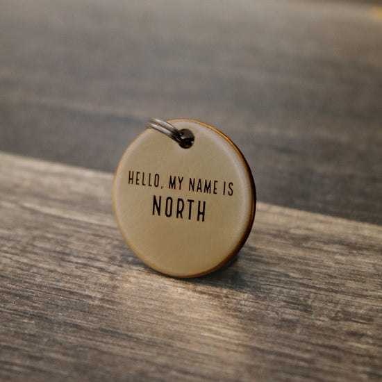 Hello, my name is...Pet Tag