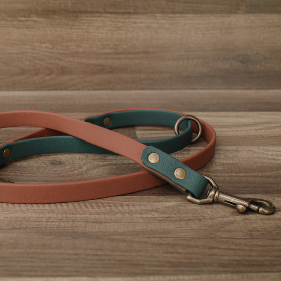 Summit Dual + Denali Leash Add On