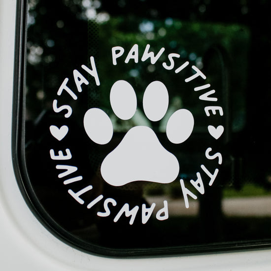 Stay Pawsitive Decal