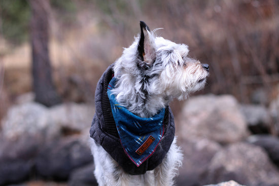 Indigo Ikat Rolled Bandana