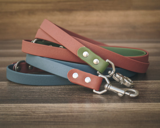 Two Tone Leash - Nickel Matte Hardware - All Colors