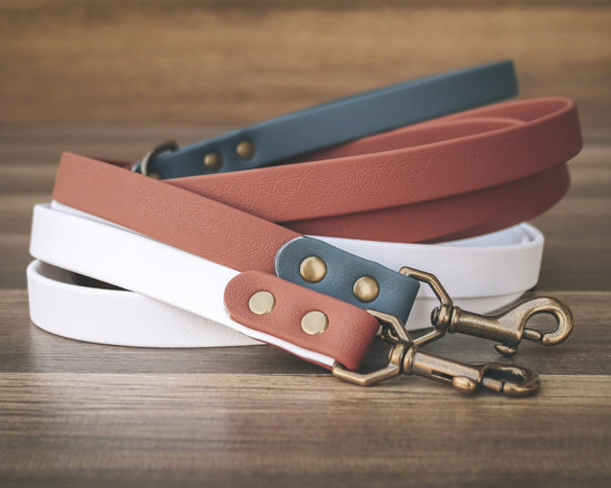 Two Tone Leash - All Colors