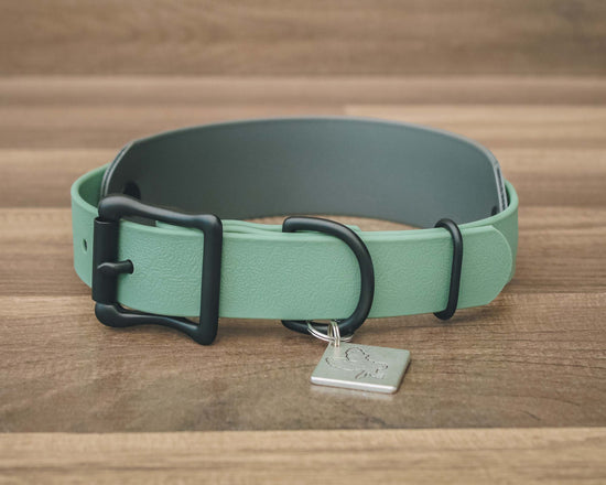 The Acadia Buckle Collar