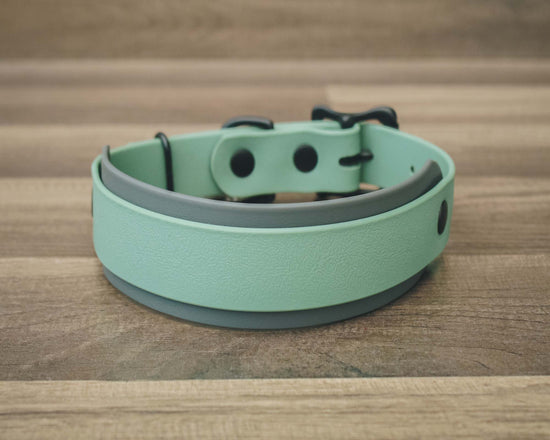 The Acadia Buckle Collar