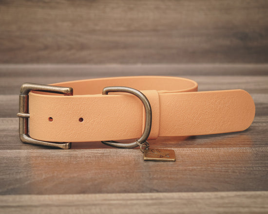 Aspen Buckle Collar 1.5"