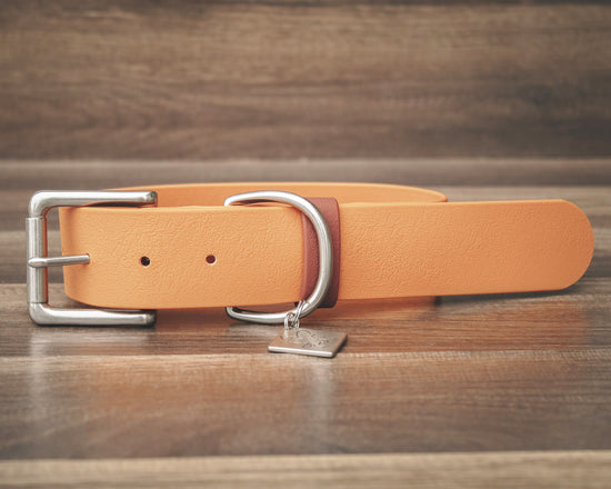 Aspen Buckle Collar 1.5"