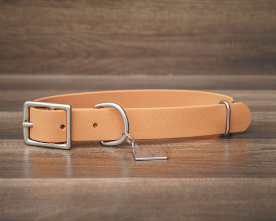 Aspen Buckle Collar