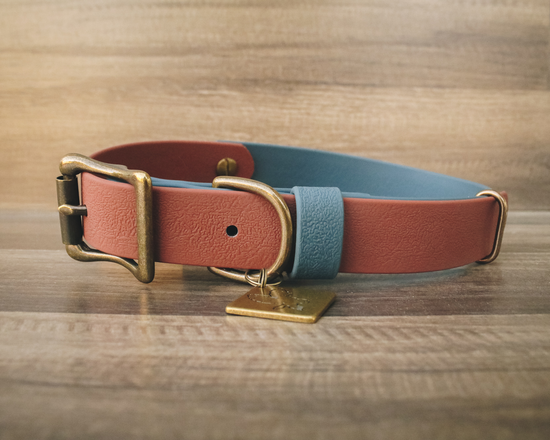 The Atlas 1" Collar / 4-in-1