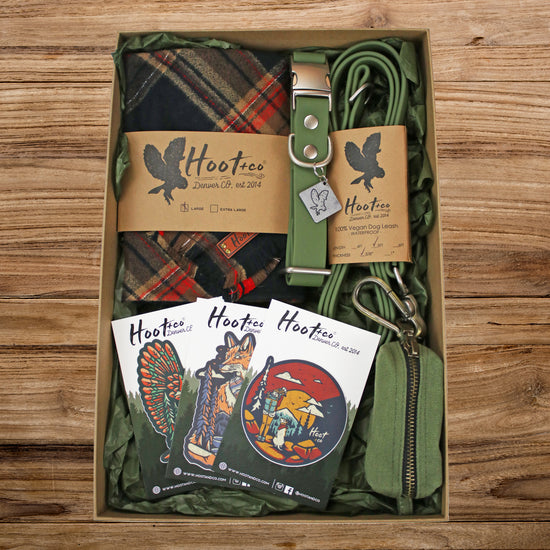 Hoot + Co Starter Box - Basic