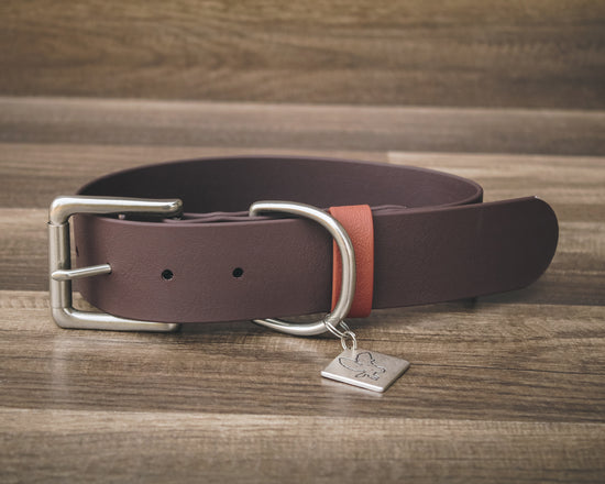 Cedar Buckle Collar 1.5"