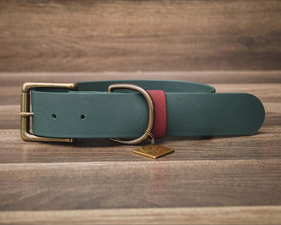 Forest Buckle Collar 1.5"