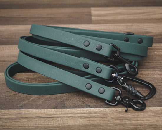 Onyx Forest Leash