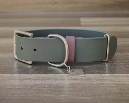 Granite Buckle Collar 1.5"
