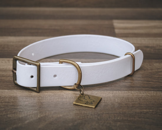 Ice Buckle Collar