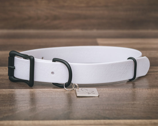 Onyx Ice Buckle Collar