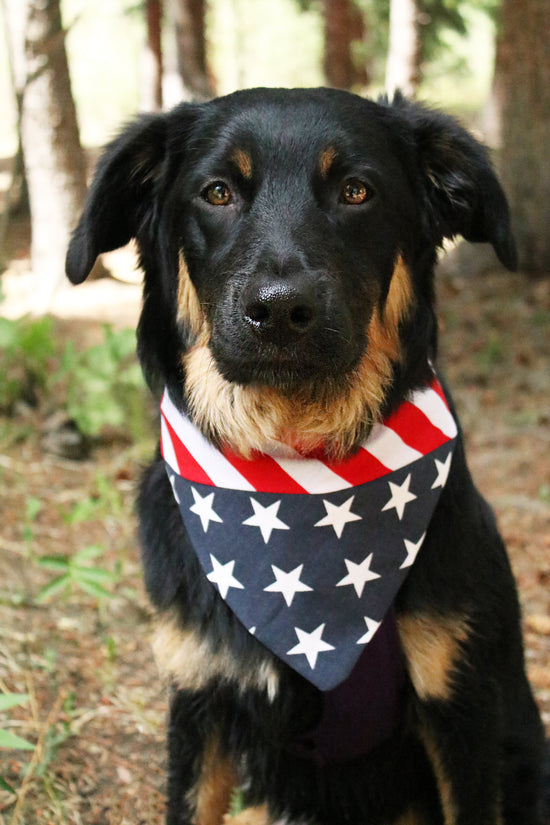 Spangled 2.0 Bandana