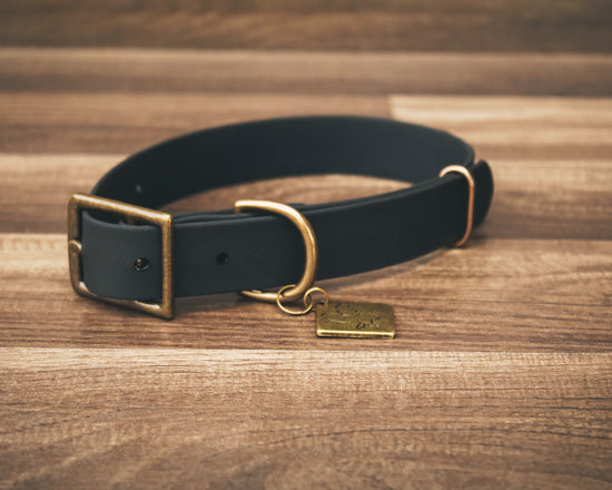 Jett Buckle Collar