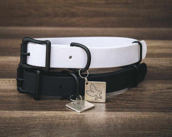 Onyx Ice Buckle Collar