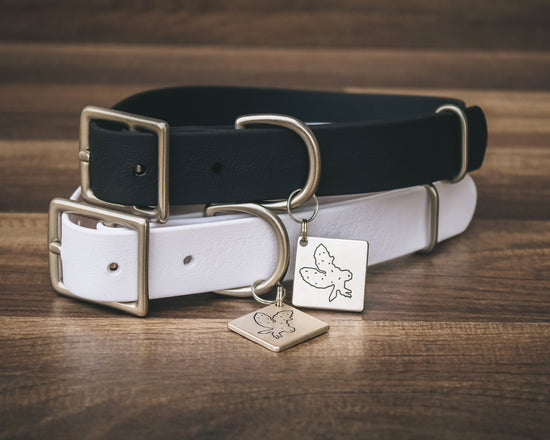 Jett Buckle Collar