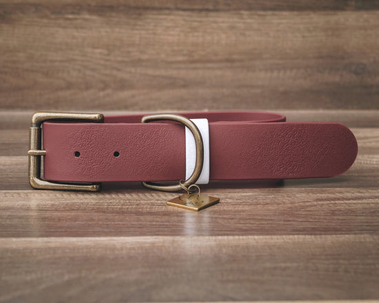 Merlot Buckle Collar 1.5"