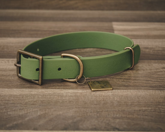 Olive Buckle Collar