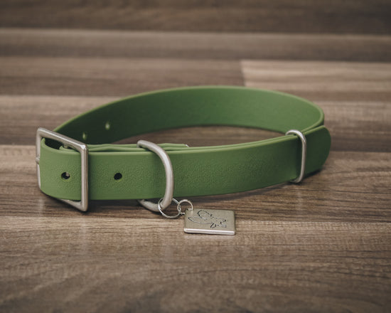 Olive Buckle Collar