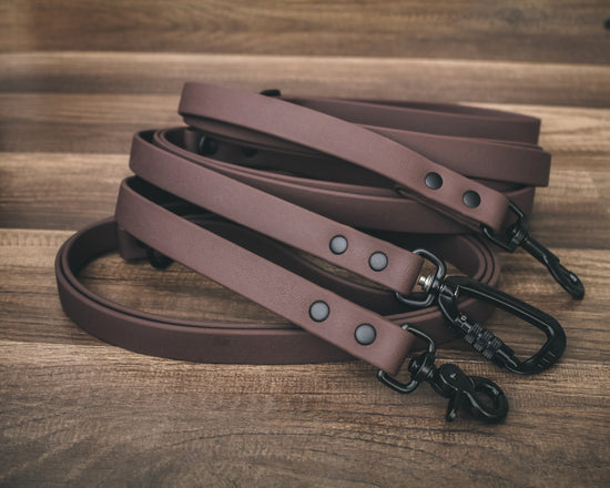 Onyx Cedar Leash