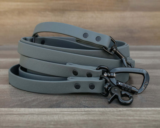 Onyx Granite Leash