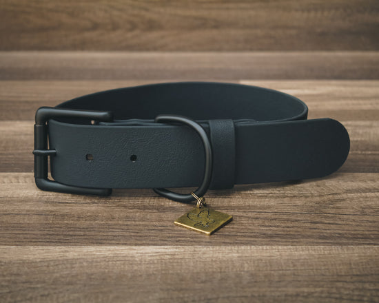 Onyx Jett Buckle Collar 1.5"