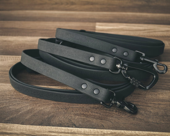 Onyx Jett Leash